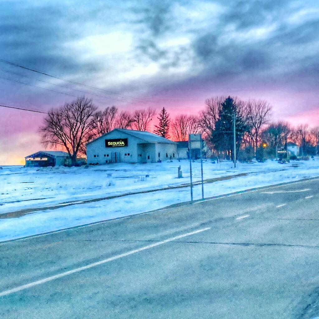 sequoia landscape at sunset